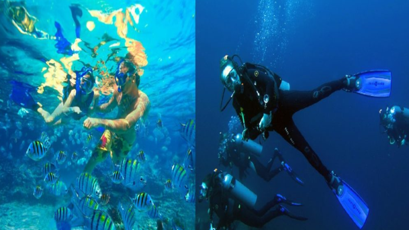 Snorkeling dan Diving: Jelajahi di Dunia Bawah Laut